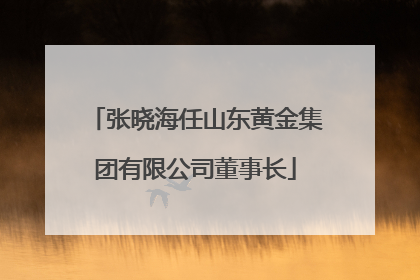 张晓海任山东黄金集团有限公司董事长