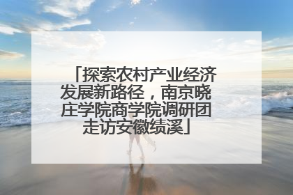 探索农村产业经济发展新路径，南京晓庄学院商学院调研团走访安徽绩溪