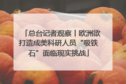 总台记者观察丨欧洲欲打造成美科研人员“吸铁石”面临现实挑战
