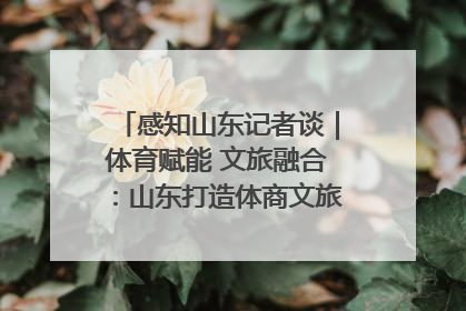 感知山东记者谈｜体育赋能 文旅融合：山东打造体商文旅融合发展新格局