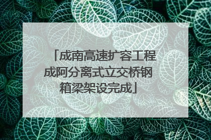 成南高速扩容工程成阿分离式立交桥钢箱梁架设完成