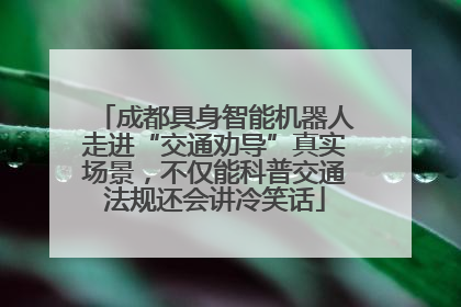 成都具身智能机器人走进“交通劝导”真实场景，不仅能科普交通法规还会讲冷笑话