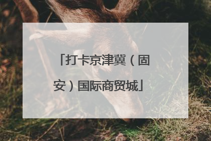 打卡京津冀（固安）国际商贸城