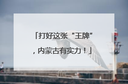 打好这张“王牌”，内蒙古有实力！