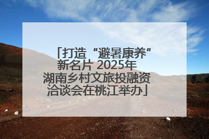 打造“避暑康养”新名片 2025年湖南乡村文旅投融资洽谈会在桃江举办