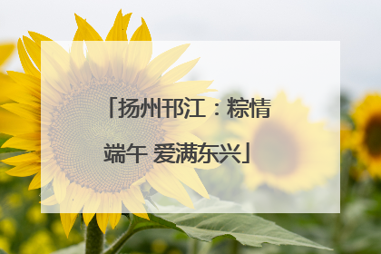 扬州邗江：粽情端午 爱满东兴