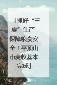 抓好“三夏”生产 保障粮食安全！平顶山市麦收基本完成