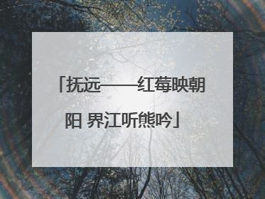 抚远——红莓映朝阳 界江听熊吟