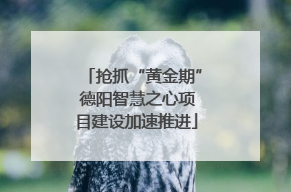 抢抓“黄金期” 德阳智慧之心项目建设加速推进