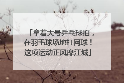 拿着大号乒乓球拍，在羽毛球场地打网球！这项运动正风靡江城