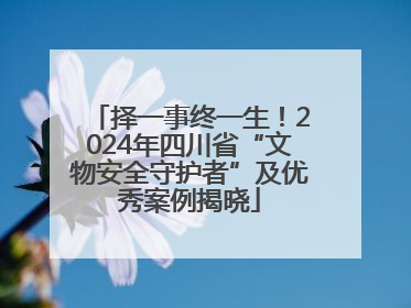 择一事终一生！2024年四川省“文物安全守护者”及优秀案例揭晓