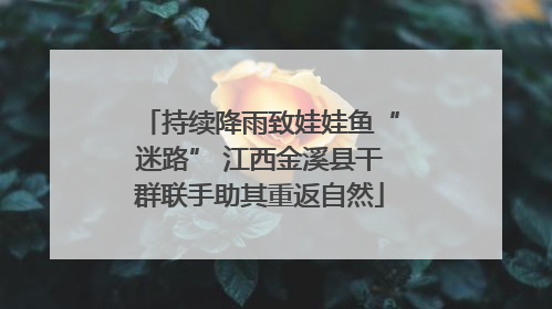 持续降雨致娃娃鱼“迷路” 江西金溪县干群联手助其重返自然