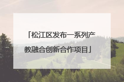 松江区发布一系列产教融合创新合作项目