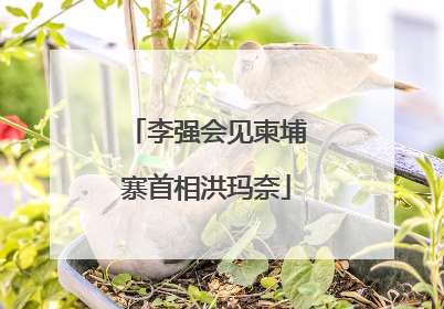 李强会见柬埔寨首相洪玛奈