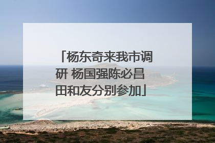 杨东奇来我市调研 杨国强陈必昌田和友分别参加