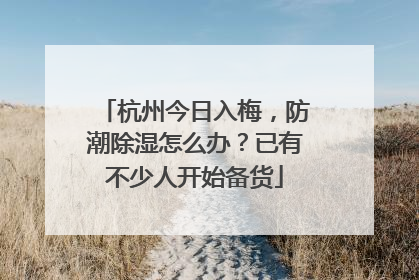 杭州今日入梅，防潮除湿怎么办？已有不少人开始备货