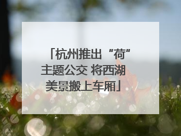 杭州推出“荷”主题公交 将西湖美景搬上车厢
