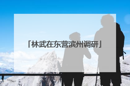林武在东营滨州调研