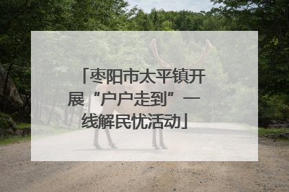 枣阳市太平镇开展“户户走到”一线解民忧活动