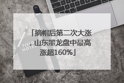 摘帽后第二次大涨，山东墨龙盘中最高涨超160%