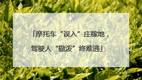 摩托车“误入”庄稼地，驾驶人“撒泼”终难逃