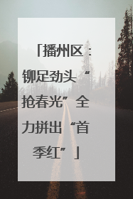 播州区：铆足劲头“抢春光”全力拼出“首季红”