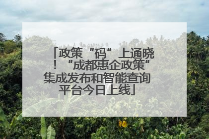 政策“码”上通晓！“成都惠企政策”集成发布和智能查询平台今日上线