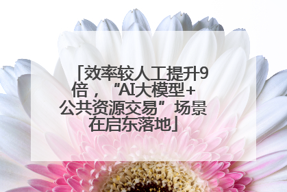效率较人工提升9倍，“AI大模型+公共资源交易”场景在启东落地