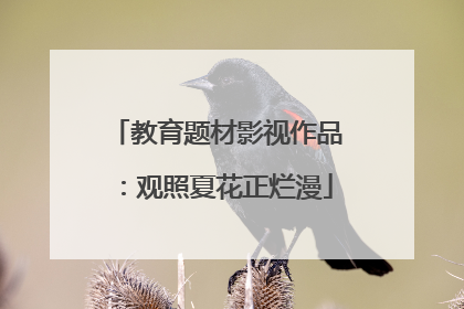 教育题材影视作品：观照夏花正烂漫