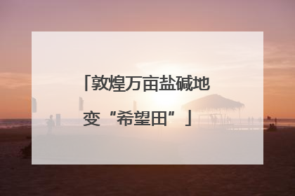 敦煌万亩盐碱地变“希望田”