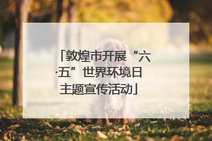 敦煌市开展“六·五”世界环境日主题宣传活动