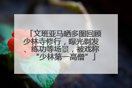 文班亚马晒多图回顾少林寺修行，曝光剃发、练功等场景，被戏称“少林第一高僧”