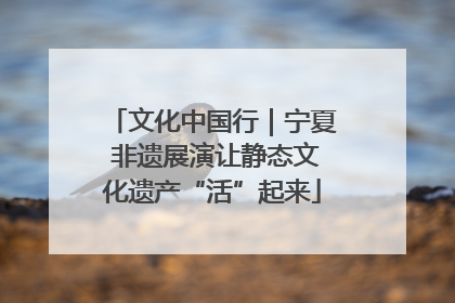 文化中国行｜宁夏 非遗展演让静态文化遗产“活”起来