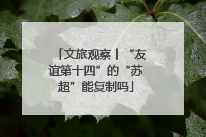 文旅观察丨“友谊第十四”的“苏超”能复制吗