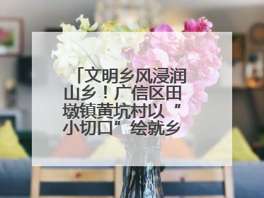 文明乡风浸润山乡！广信区田墩镇黄坑村以“小切口”绘就乡村振兴大图景