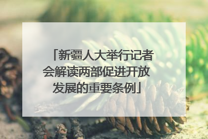 新疆人大举行记者会解读两部促进开放发展的重要条例