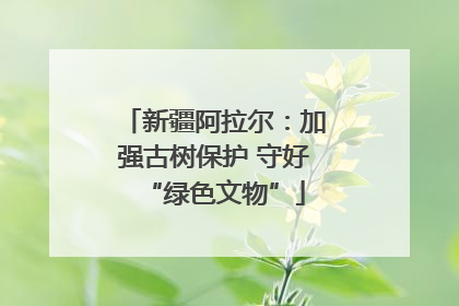 新疆阿拉尔：加强古树保护 守好“绿色文物”