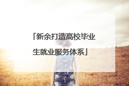 新余打造高校毕业生就业服务体系