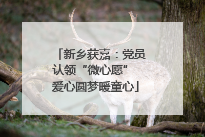 新乡获嘉：党员认领“微心愿” 爱心圆梦暖童心