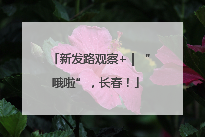 新发路观察+｜“哦啦”，长春！