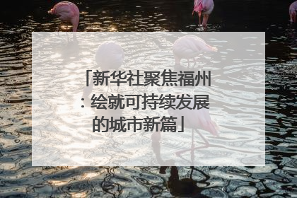 新华社聚焦福州：绘就可持续发展的城市新篇