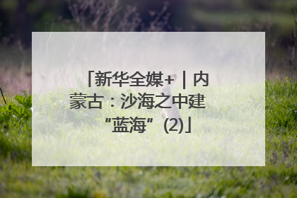 新华全媒+｜内蒙古：沙海之中建“蓝海”(2)