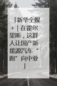 新华全媒+｜在霍尔果斯，这群人让国产新能源汽车“跑”向中亚