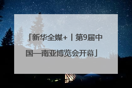 新华全媒+丨第9届中国—南亚博览会开幕