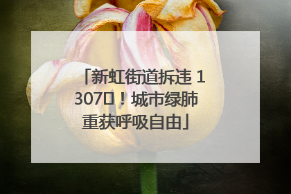 新虹街道拆违 1307㎡！城市绿肺重获呼吸自由