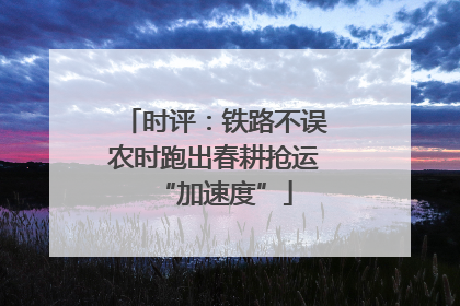 时评：铁路不误农时跑出春耕抢运“加速度”