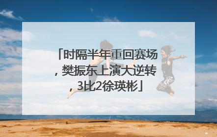 时隔半年重回赛场，樊振东上演大逆转，3比2徐瑛彬