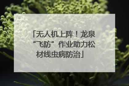 无人机上阵！龙泉“飞防”作业助力松材线虫病防治
