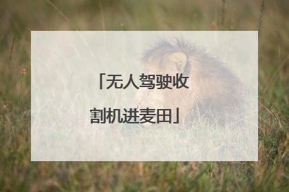 无人驾驶收割机进麦田