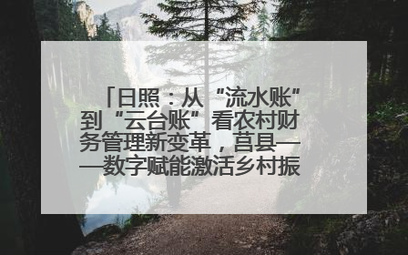 日照：从“流水账”到“云台账”看农村财务管理新变革，莒县——数字赋能激活乡村振兴“一池春水”